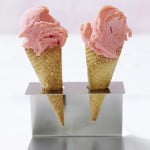 aardbeien sorbetijs-delicious