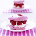 Fambozen macaron-delicious