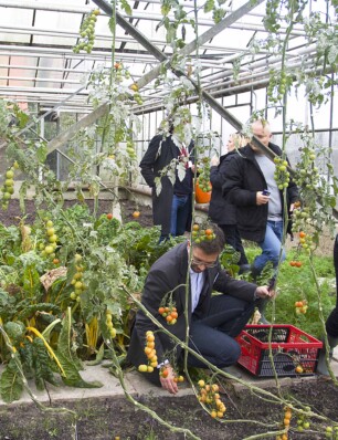 strooptocht door de Haarlemmermeer