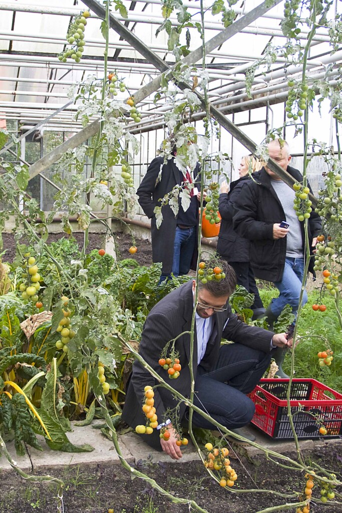 strooptocht door de Haarlemmermeer