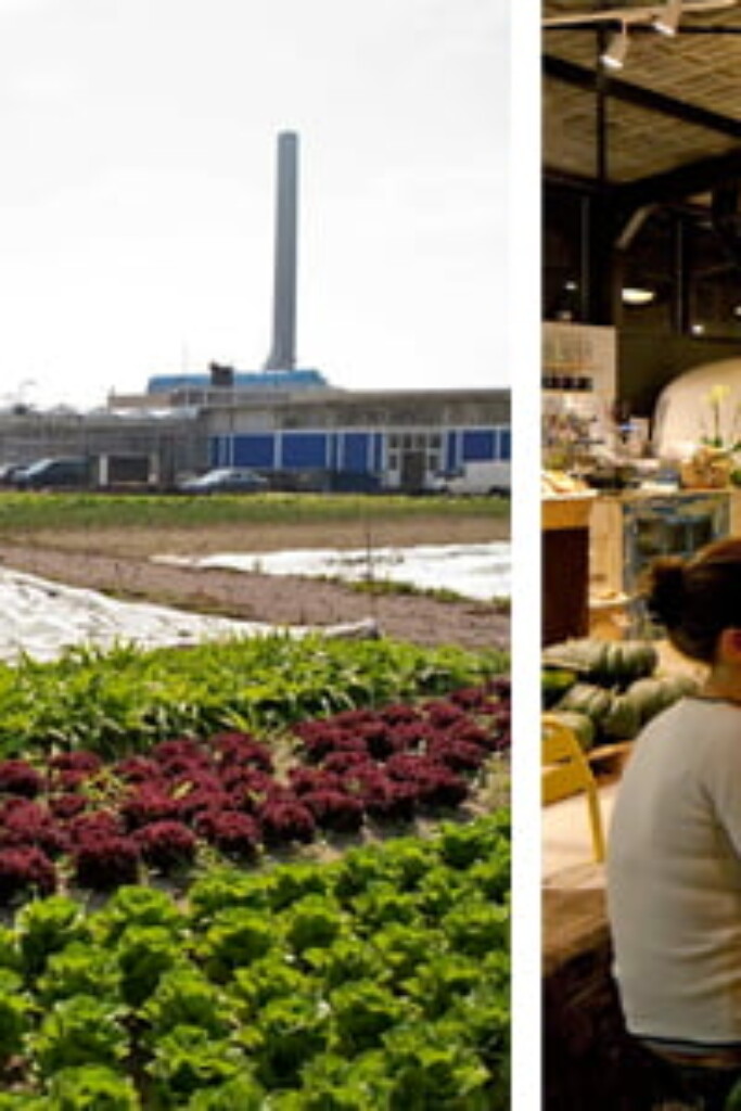 landbouw in de grote stad