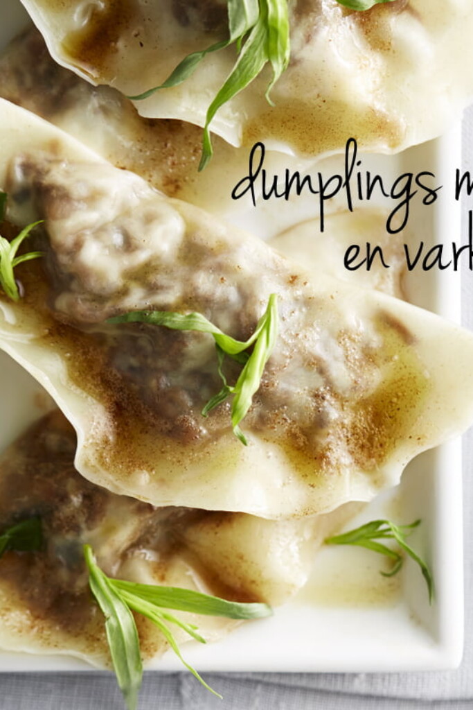 Gebakken dumplings met varkensgehakt en gamba’s