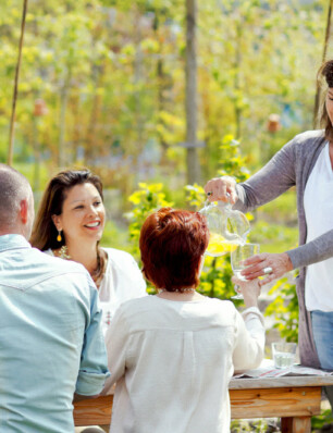 de perfecte picknick mét buiten wijn