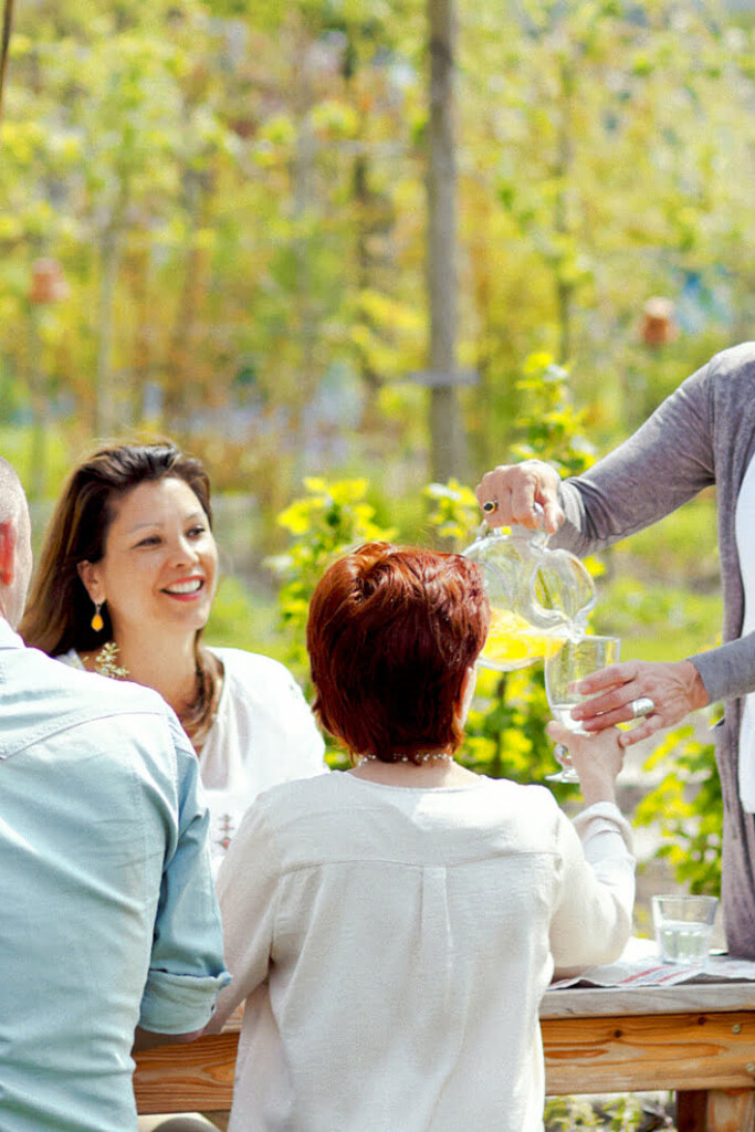 de perfecte picknick mét buiten wijn