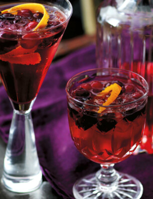 gin-tonic met cranberry