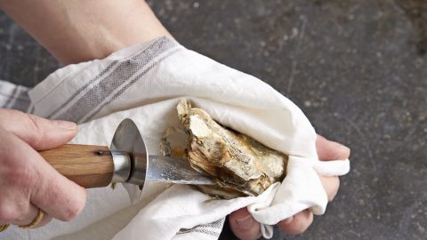 Oesters openen stap voor stap