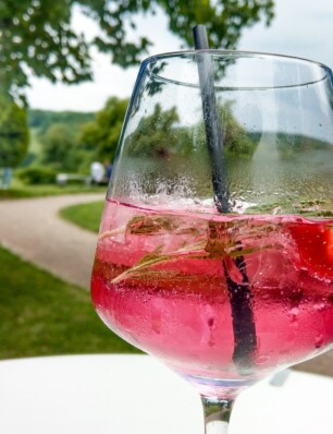 trend: deze gin verandert van kleur!