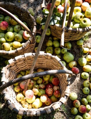 Even over dé cider van deze zomer: die maken de jongens van Elegast