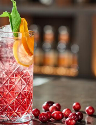 Gin-tonic met cranberry