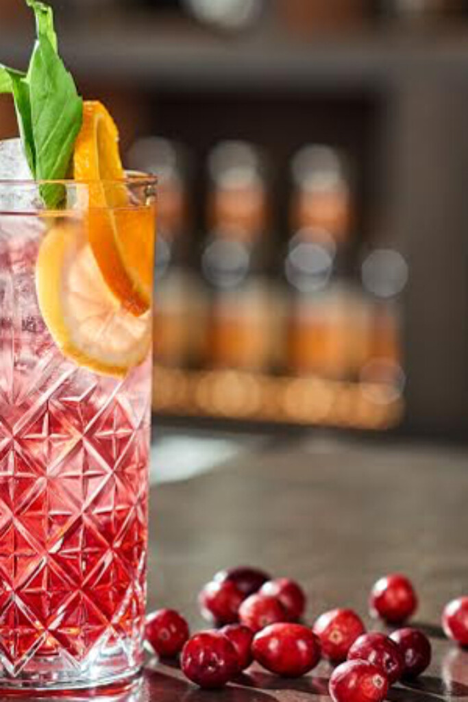 Gin-tonic met cranberry