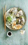 gyoza: alles wat je wil weten over deze Japanse dumpling + recepten