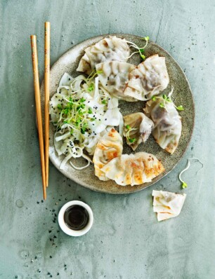 snelle gyoza’s met zoetzure venkel