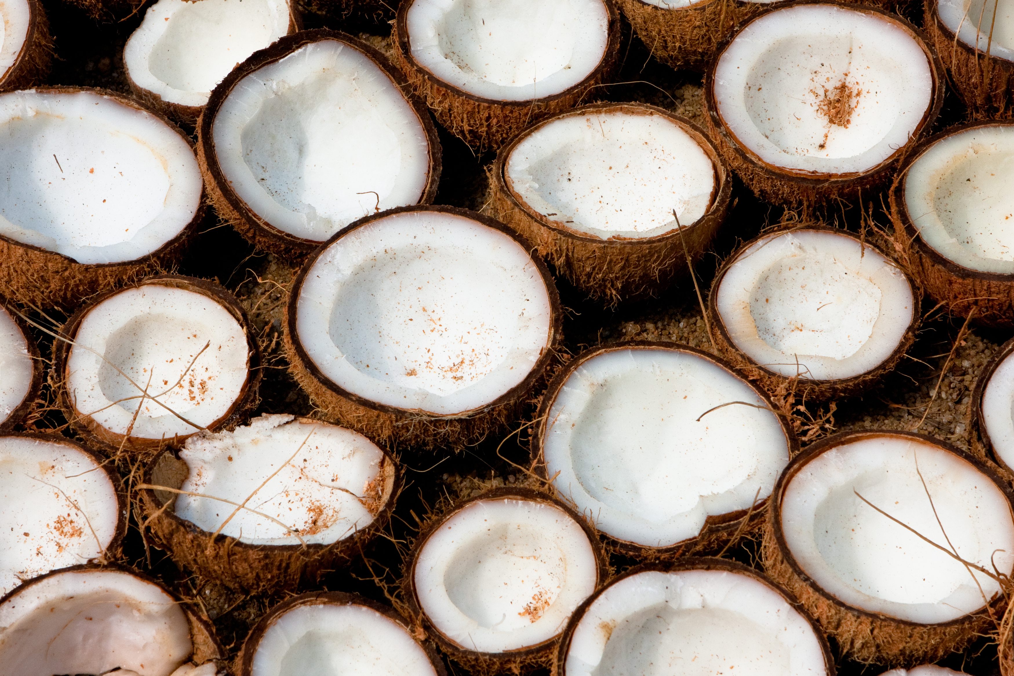 Alles Wat Je Moet Weten Over Kokos Delicious magazine
