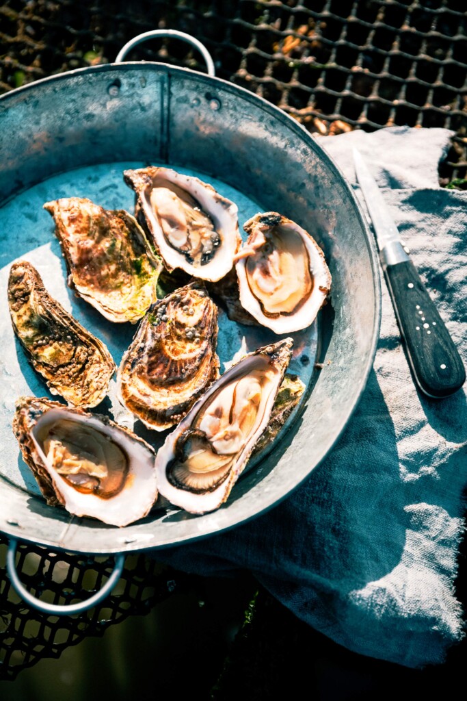 recepten met oester! 5 makkelijke gerechten