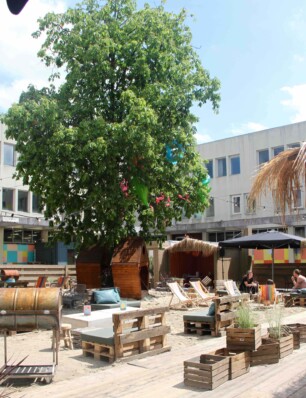 Nieuwe hotspot in Amsterdam: de Bajes Beach Club