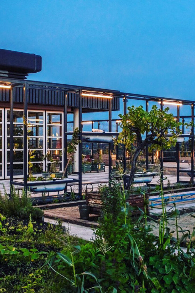 Nieuw: Rosemary’s Rooftop op het dak van Restaurant Bureau