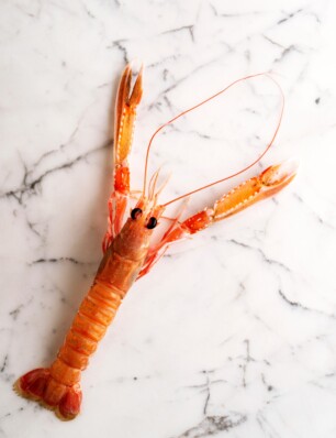 Stap voor stap: zo bereid je zelf langoustine