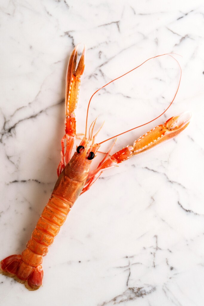 Stap voor stap: zo bereid je zelf langoustine