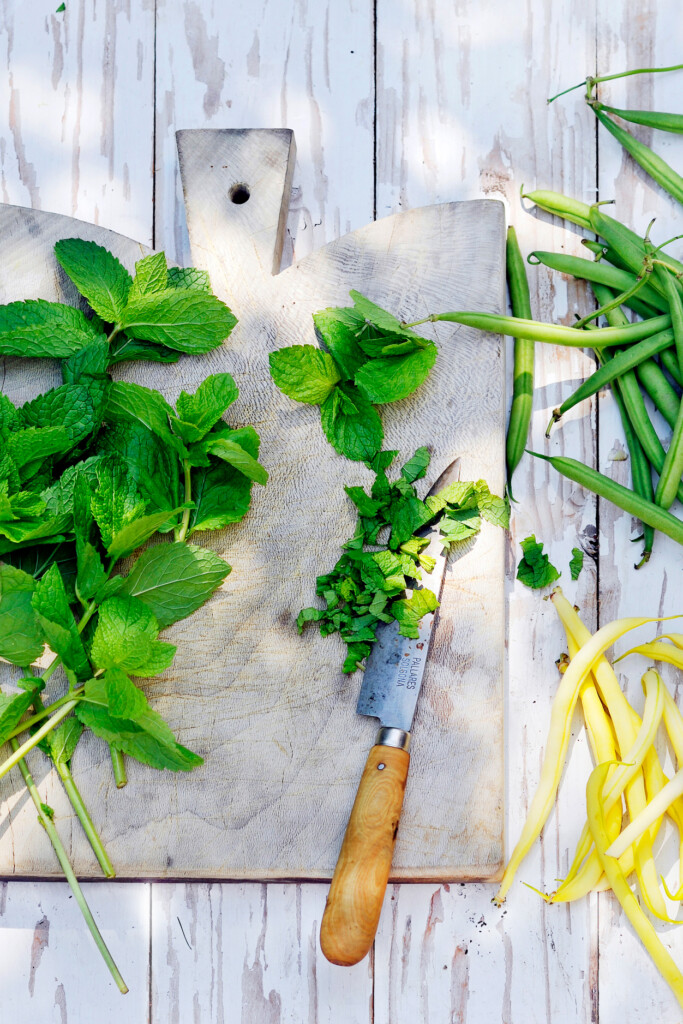 bosje over? 13x recepten met munt