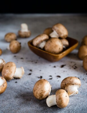 zo weet je of champignons of paddenstoelen nog goed zijn