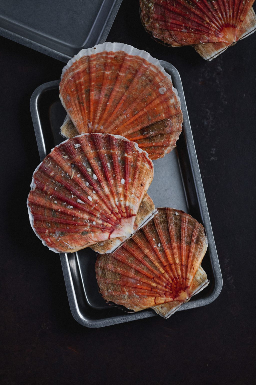8x feestelijke recepten met coquilles delicious.magazine