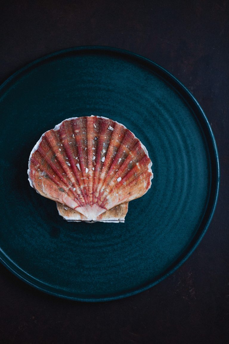 8x feestelijke recepten met coquilles delicious.magazine