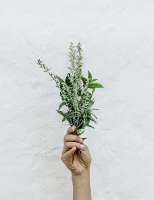 bouquet garni: welke kruiden gebruik je in welke bouillon?