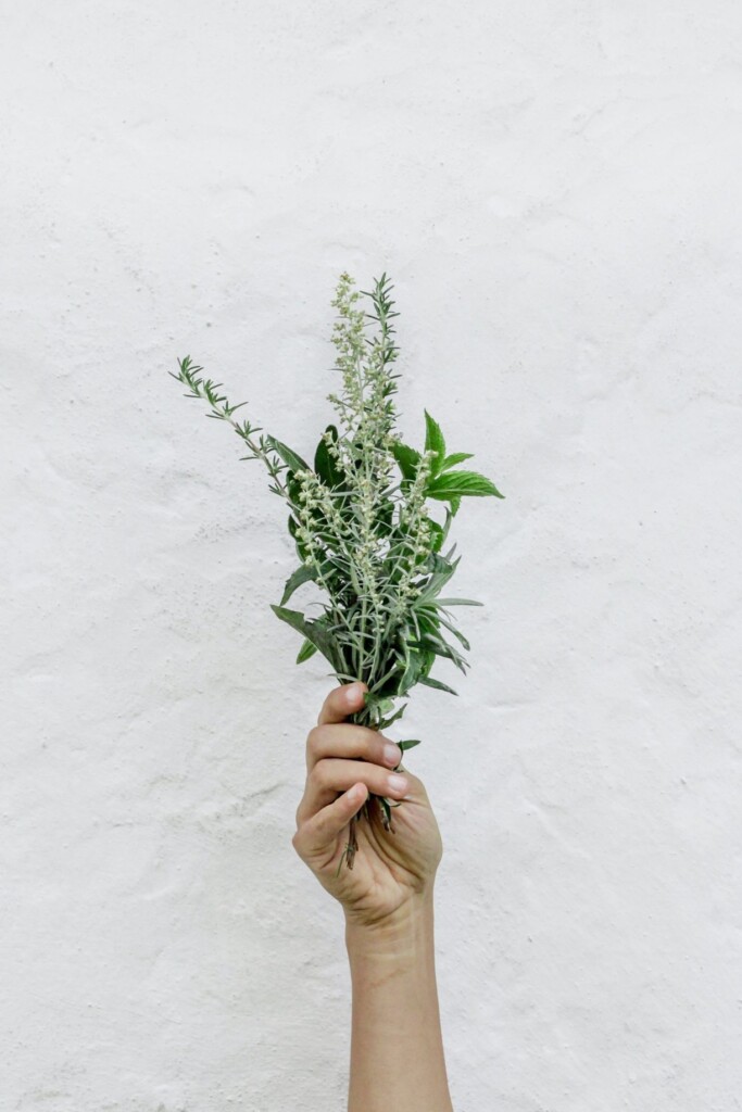 bouquet garni: welke kruiden gebruik je in welke bouillon?