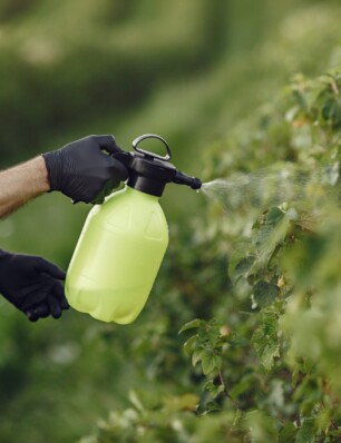 kun je pesticiden van groenten en fruit wassen?