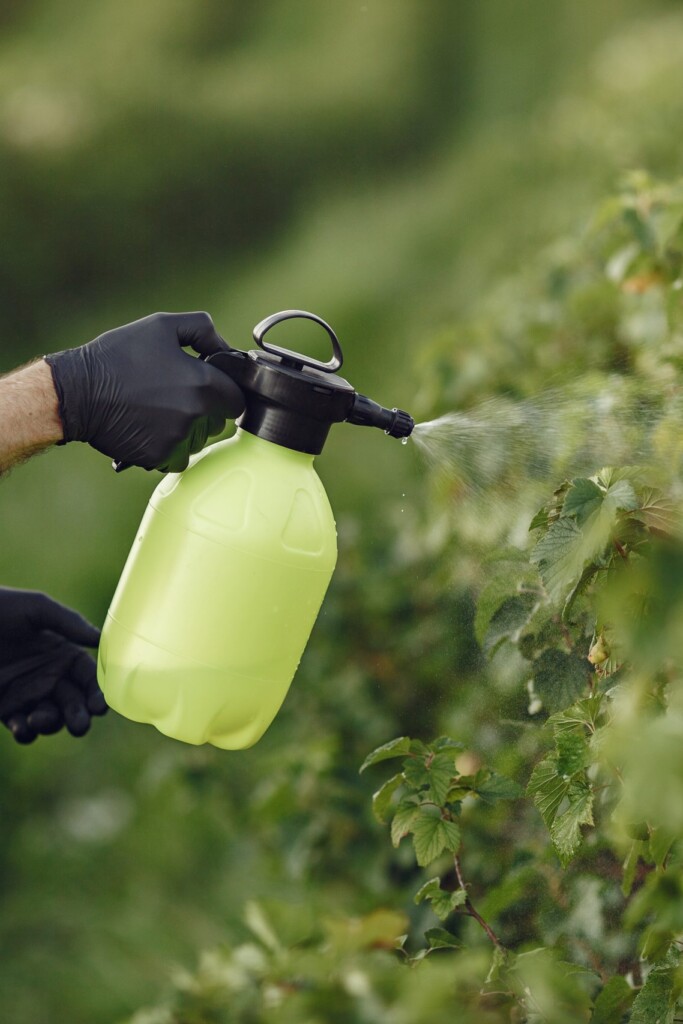 kun je pesticiden van groenten en fruit wassen?