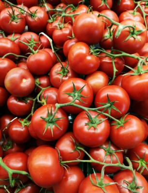 feit of fabel? Tomaten mag je niet in de koelkast bewaren