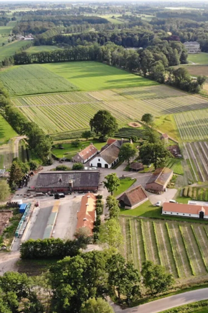 regeneratief boeren: wat is het en waarom is Joris Bijdendijk fan?