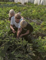 moestuin beginnen? Dit boek moet je hebben volgens Joris Bijdendijk