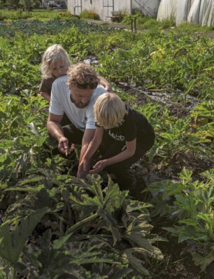 moestuin beginnen? Dit boek moet je hebben volgens Joris Bijdendijk