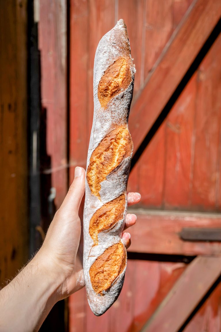 stokbrood zout frankrijk
