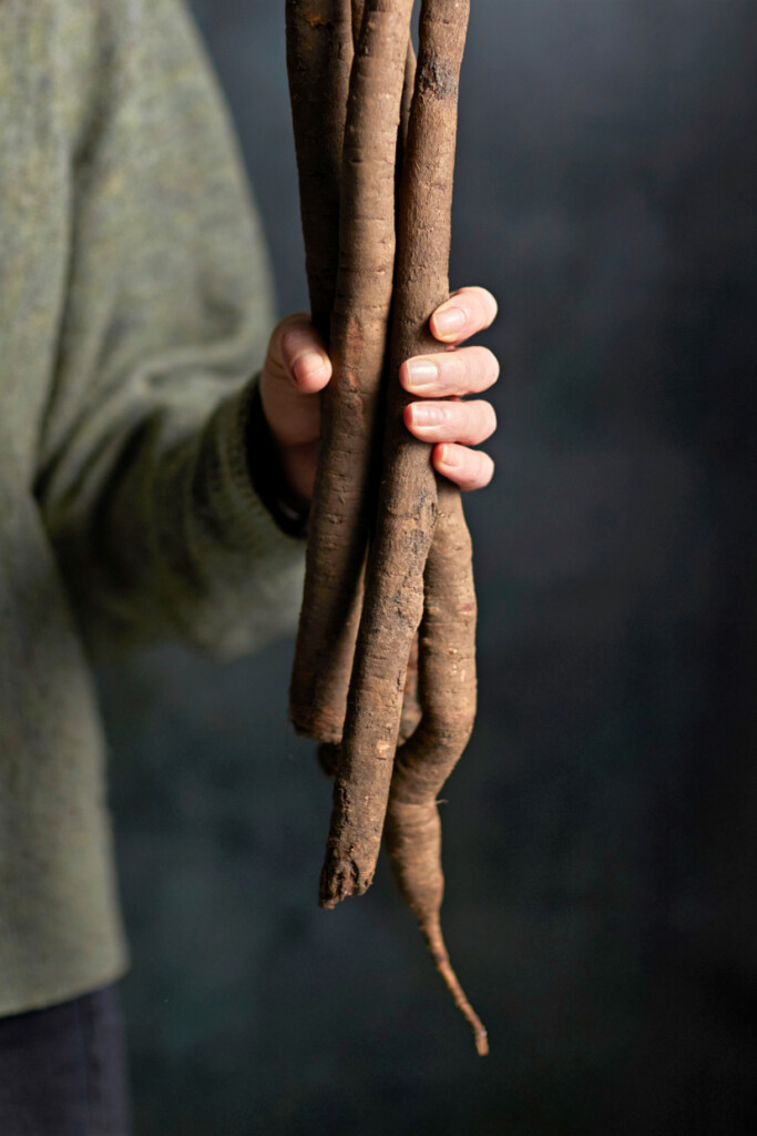 zo kreeg de schorseneer zijn bijnaam + recepten