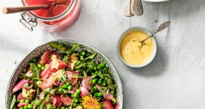 salade van doperwten, paardenbloemblad & radijs
