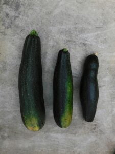 courgette verwerken
