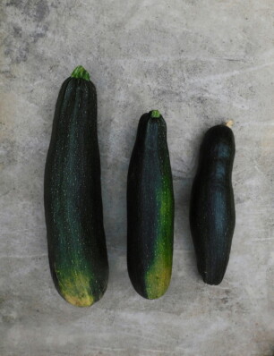 does size matter als het om courgette gaat?