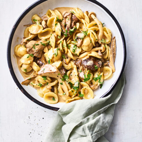 orecchiette met paddenstoelenragout