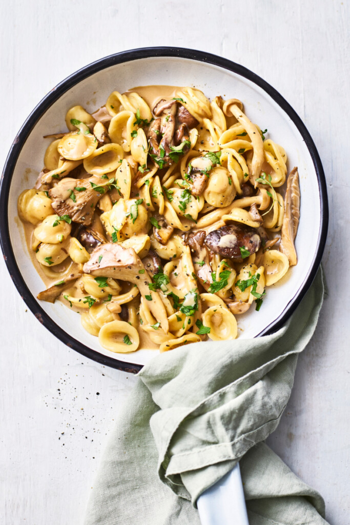 orecchiette met paddenstoelenragout