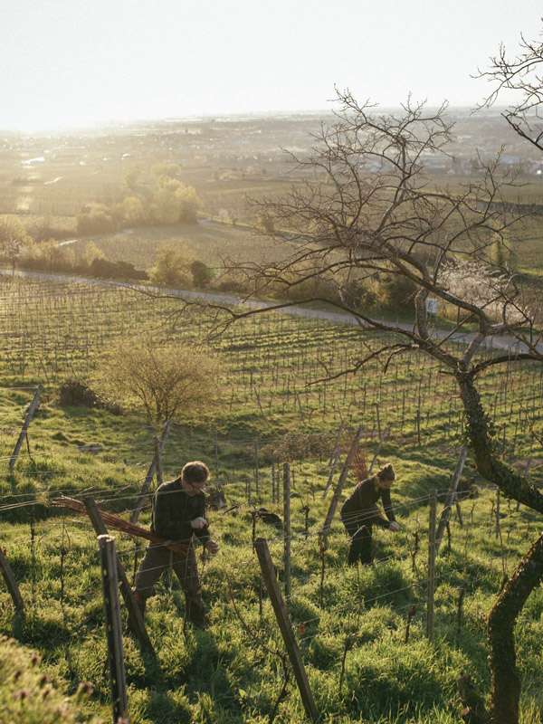 Natural wine festival A'dam