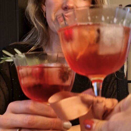 kerst spritz cranberry spritz