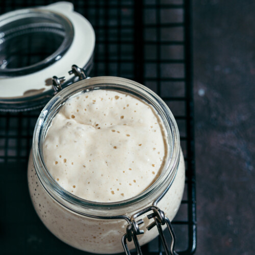 Wheat sourdough starter, copy space
