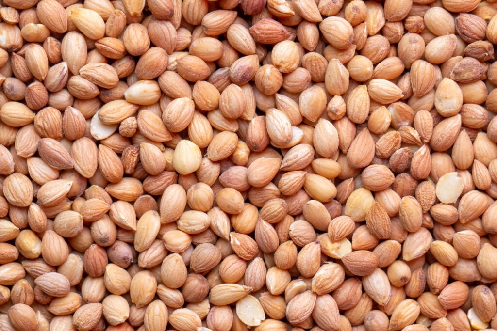 mahleb: dé specerij van 2025? | delicious.magazine