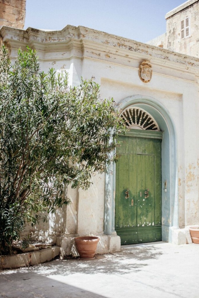 hier eet je de lekkerste dolma’s in Nederland