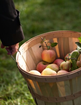 gaan: oogstfeesten op de Olmenhorst!