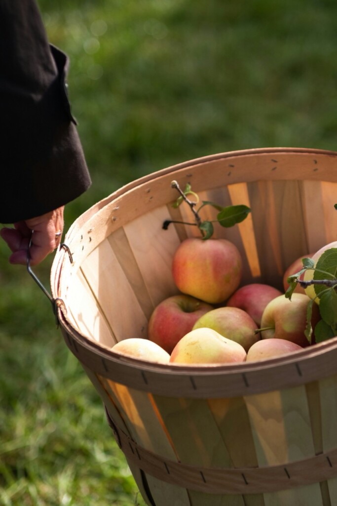 gaan: oogstfeesten op de Olmenhorst!