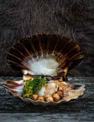 coquilles met hazelnoten en citroentijm