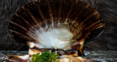 coquilles met hazelnoten en citroentijm